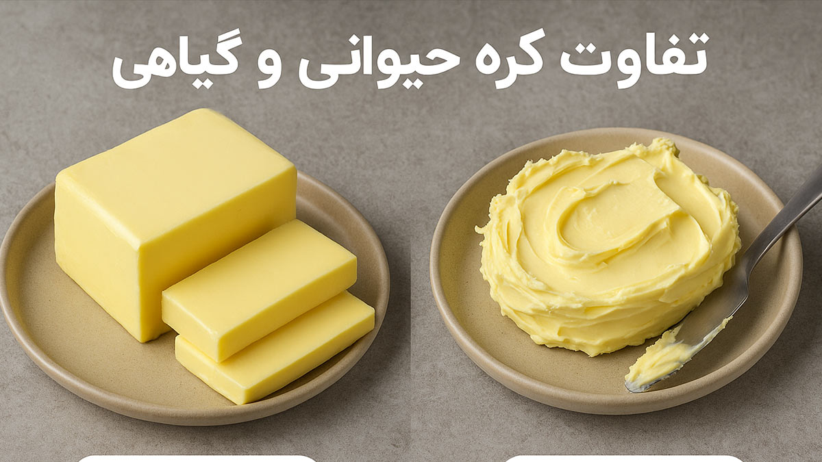 تفاوت کره حیوانی و گیاهی