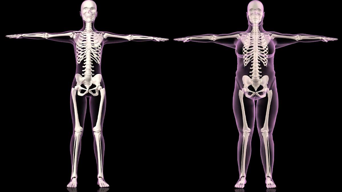 استحکام استخوان با روغن حیوانی در طب سنتی